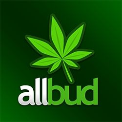 Buy All Bud Reviews