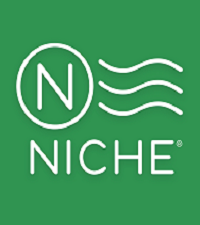 Buy Niche Reviews